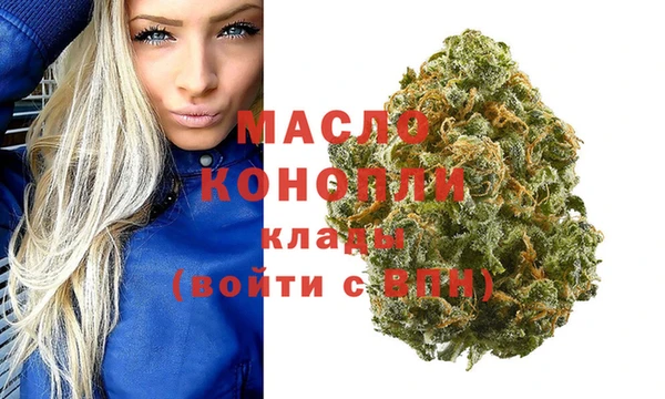 сатива Кулебаки