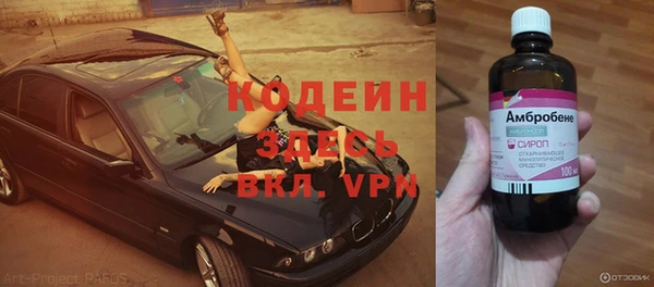 сатива Кулебаки