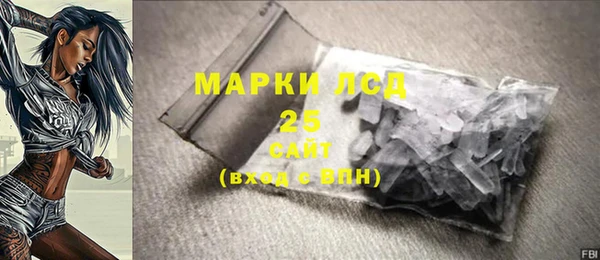 сатива Кулебаки