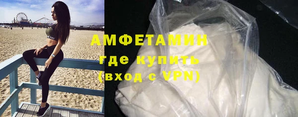 сатива Кулебаки