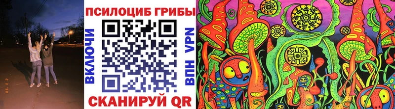ОМГ ОМГ как зайти  Альметьевск  Псилоцибиновые грибы Psilocybine cubensis 